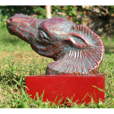 Nacimiento de un caballo